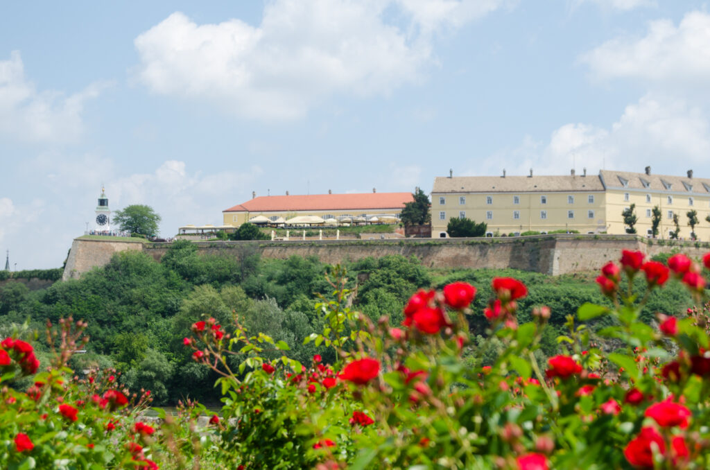 Petrovaradinska Tvrđava Srbija Petrovaradin